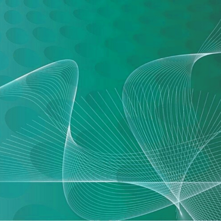 Untitled design (19)